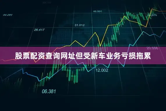股票配资查询网址但受新车业务亏损拖累