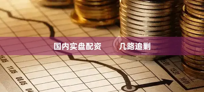 国内实盘配资        几路追剿