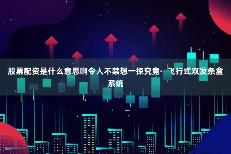 股票配资是什么意思啊令人不禁想一探究竟·  飞行式双发条盒系统
