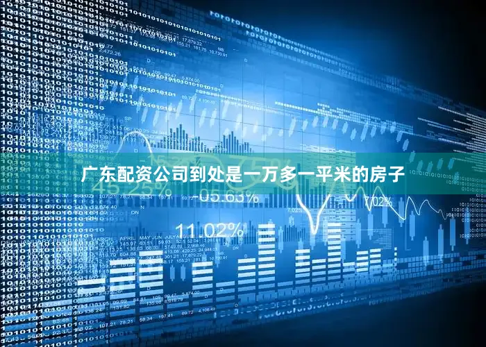 广东配资公司到处是一万多一平米的房子