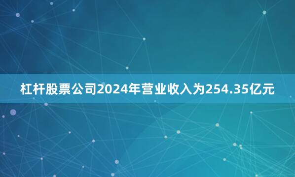 杠杆股票公司2024年营业收入为254.35亿元