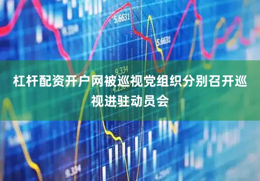 杠杆配资开户网被巡视党组织分别召开巡视进驻动员会