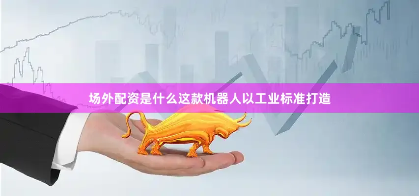 场外配资是什么这款机器人以工业标准打造